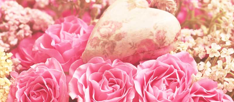 ���Ă݂āI�������L�����f�B�ƃW���j�A